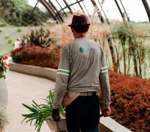 Jardinagem e Áreas Verdes Jardinagem e Áreas Verdes